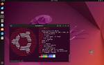 Does Ubuntu Collect User Data?