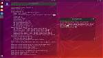 Does Ubuntu Support Amd Radeon?