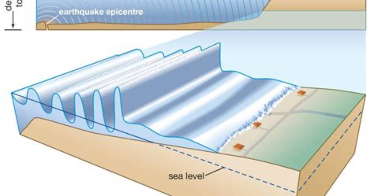 Does Undulation Mean Wave?