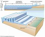 Does Undulation Mean Wave?