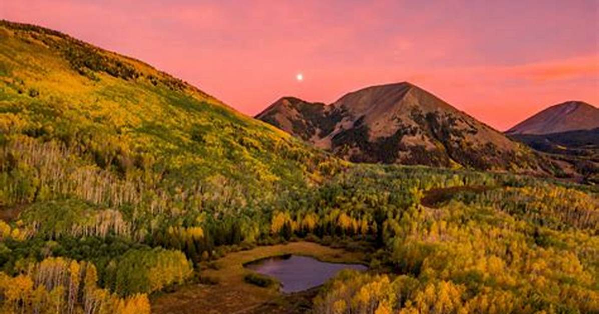 Does Utah Have Forests