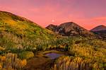 Does Utah Have Forests