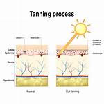 Does Uv Affect Tanning?
