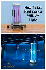 Does Uv Light Kill Mold