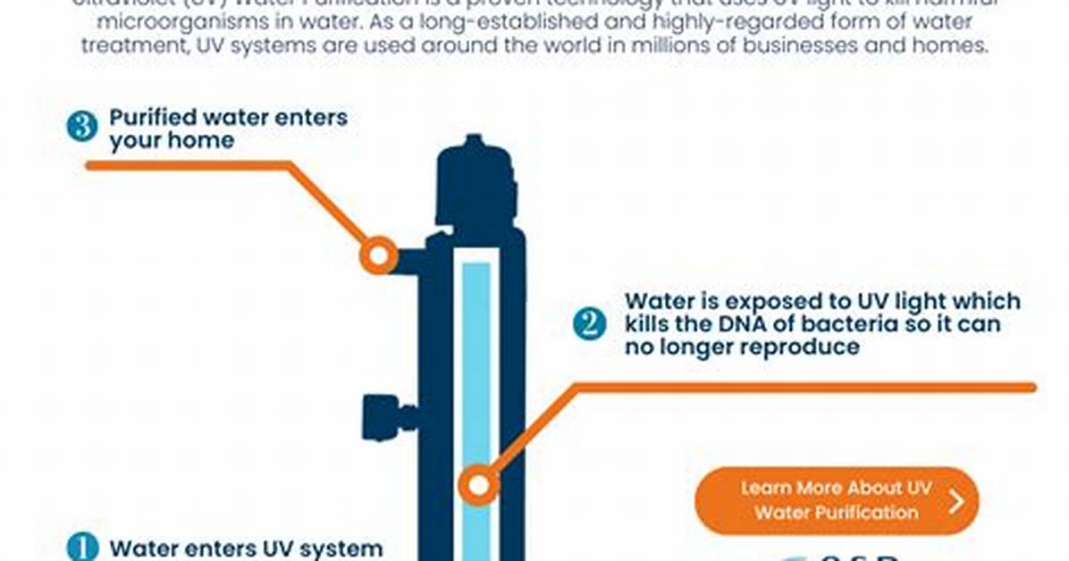 Does Uv Work for Pools