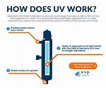 Does Uv Work for Pools