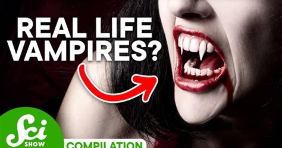 Does Vampire Really Exist?