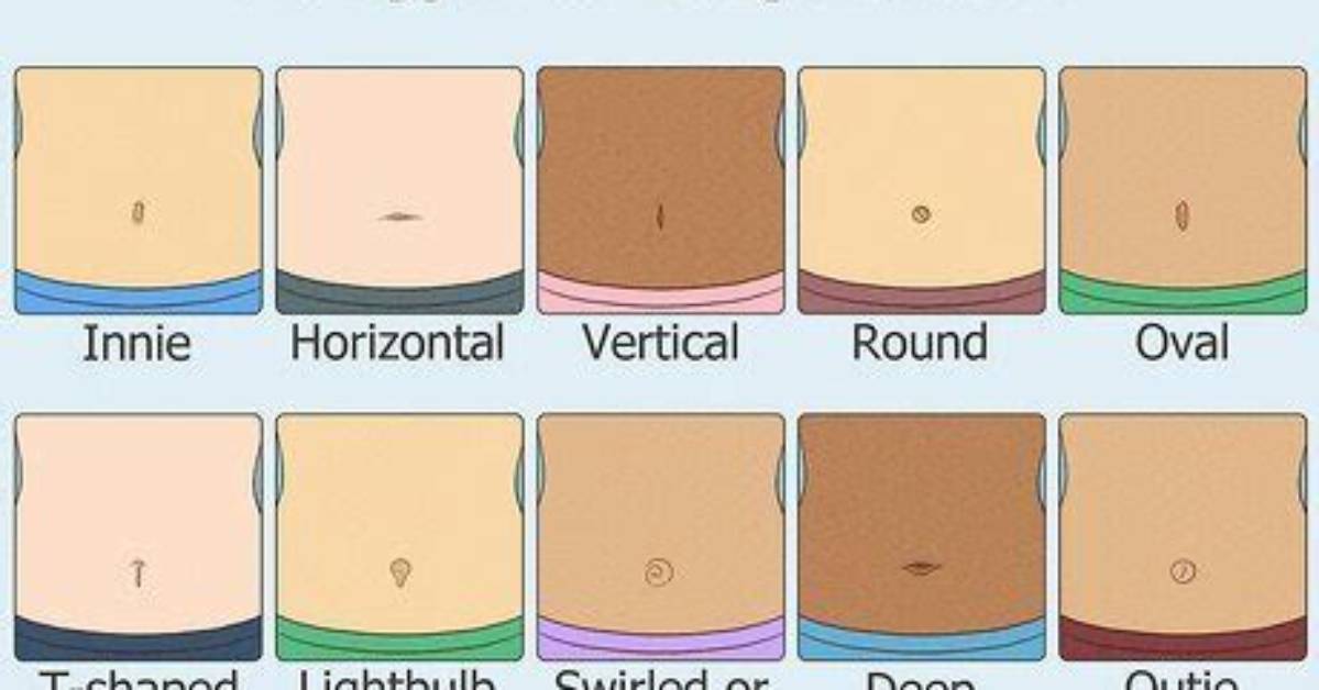 Does Venter Mean Belly?