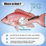 Does Venting Fish Work?