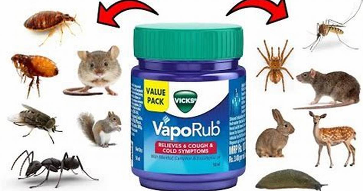 Does Vicks Repel Ticks