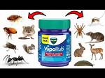 Does Vicks Repel Ticks