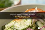 Does Vinegar Kill Bacteria
