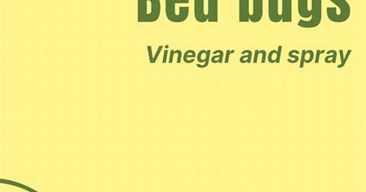 Does Vinegar Kill Bed Bugs