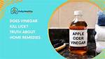 Does Vinegar Kill Lice?