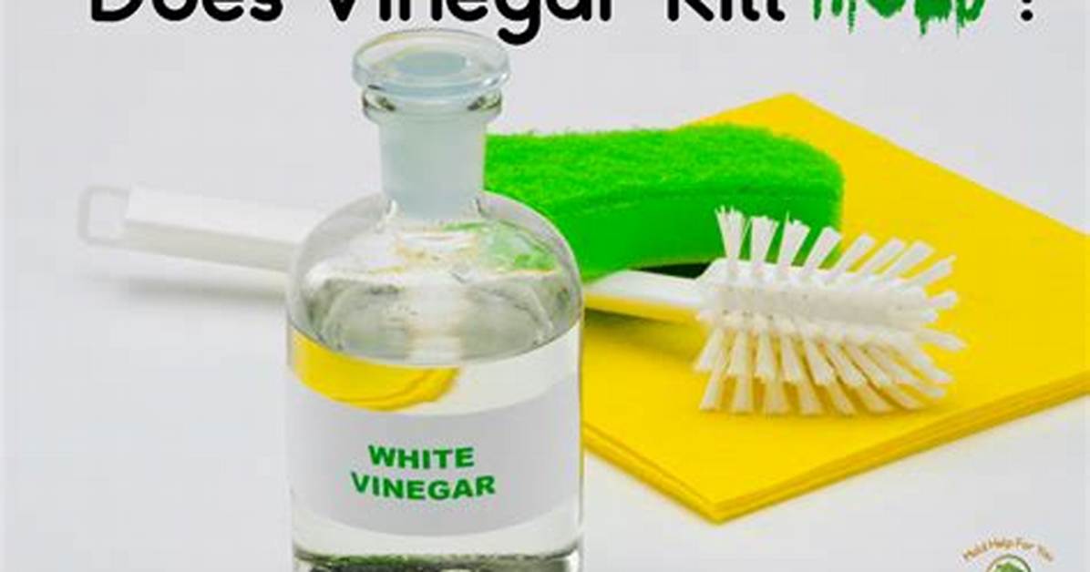 Does Vinegar Kill Mold?