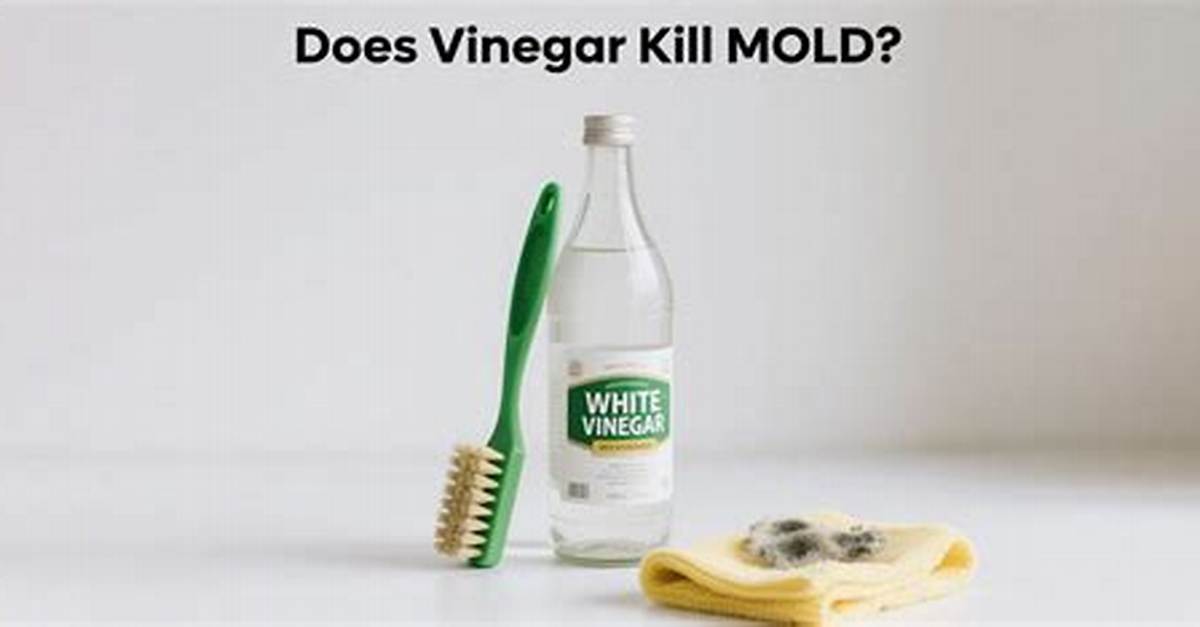 Does Vinegar Kill Warts?