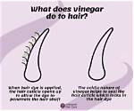 Does Vinegar Make Dye Set
