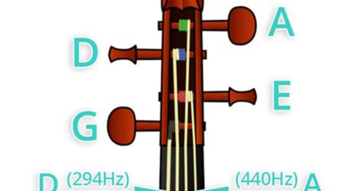 Does Violin Need Accompaniment?