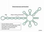Does Viroids Have Rna?