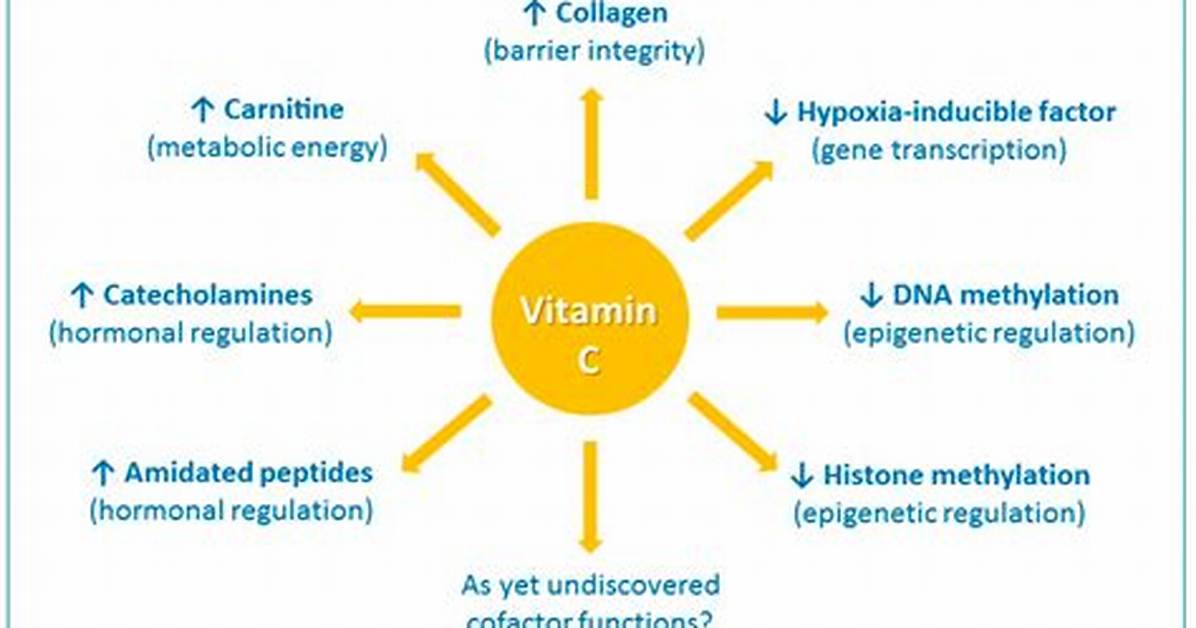 Does Vitamin C Affect Coagulation?