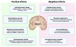 Does Vitamin E Side Effects?