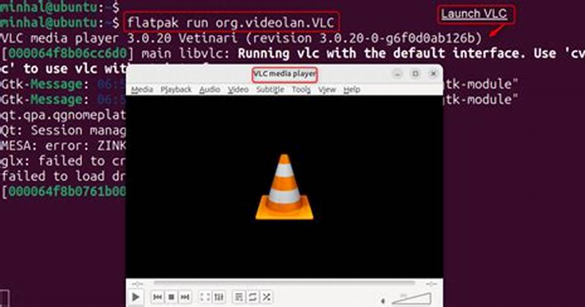 Does Vlc Run on Linux?