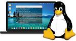 Does Vmware Use Linux?