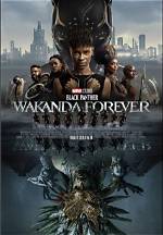 Does Wakanda Get Destroyed?