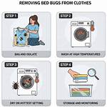 Does Washing Clothes Kill Bed Bugs