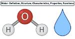 Does Water Contain Cells?
