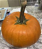 Does Wd40 Preserve Pumpkins
