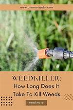 Does Weed Killer Kill Hedges?