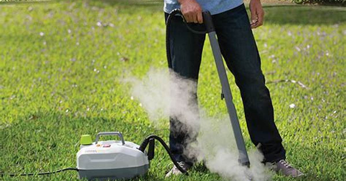 Does Weed Killing Steamer Work?