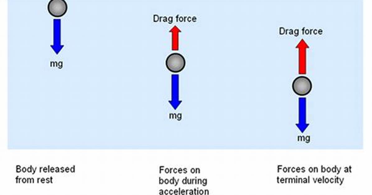Does Weight Affect Falling Speed?