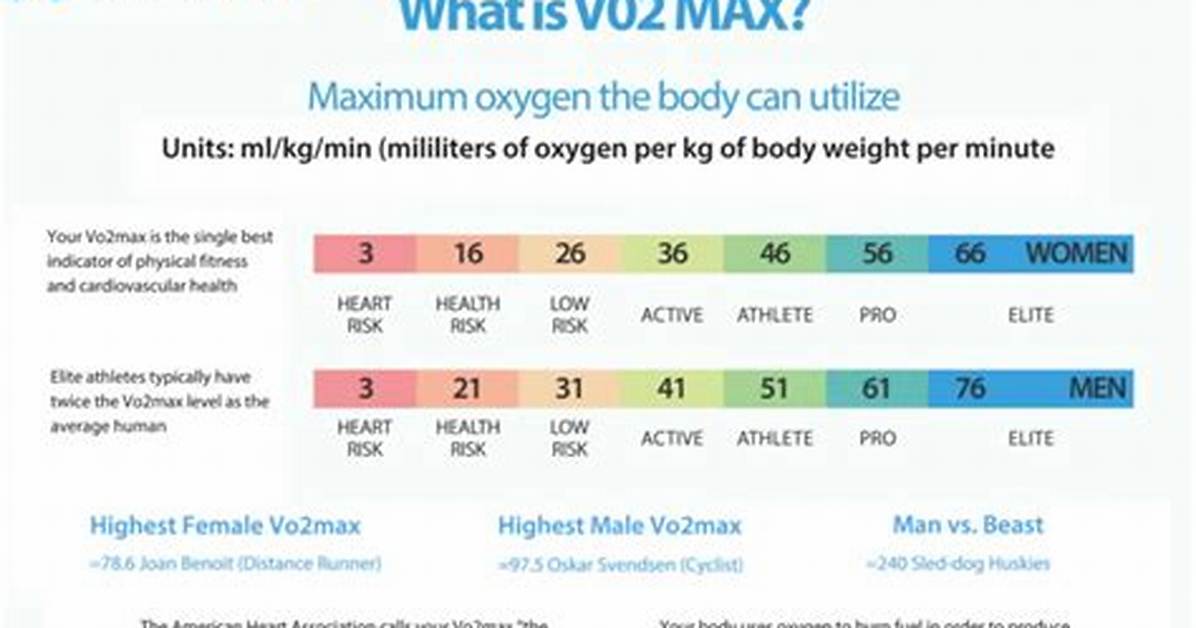 Does Weight Affect Vo2 Max
