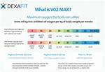 Does Weight Affect Vo2 Max