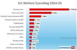 Does Welfare Still Exist?