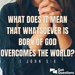Does Whatsoever Mean Whatever?