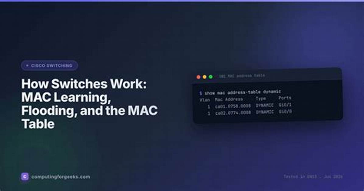 Does Whereis Work on Mac?