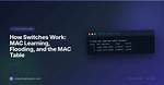 Does Whereis Work on Mac?