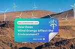 Does Wind Affect Echoes?