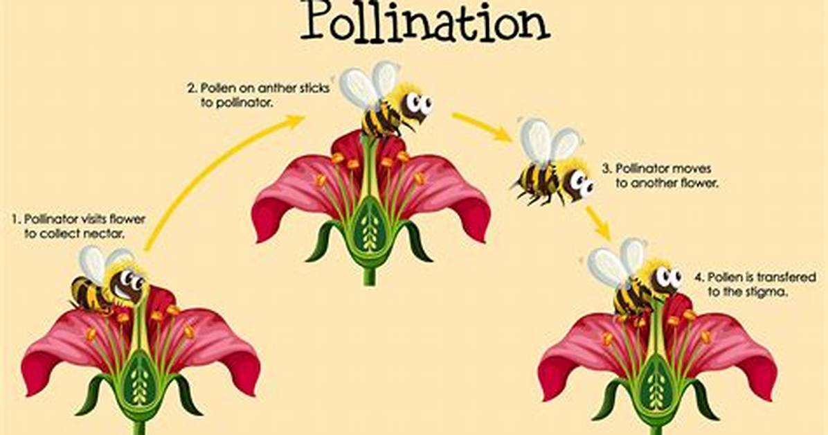 Does Wind Pollination Work?