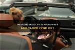 Does Wind Upset Dogs?
