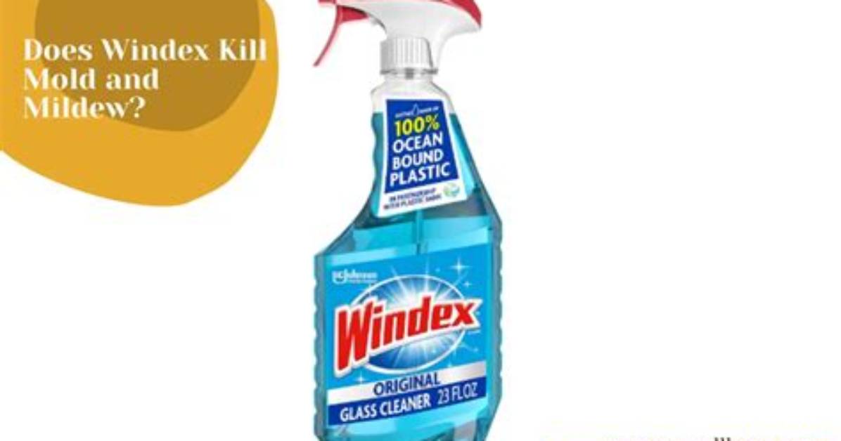 Does Windex Kill Bacteria