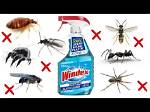 Does Windex Kill Staph