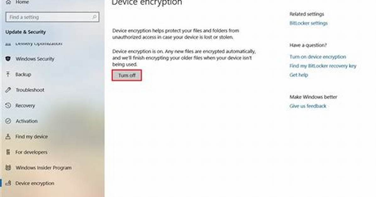 Does Windows 10 Home Support Encryption?