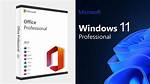 Does Windows Pro Include Office?