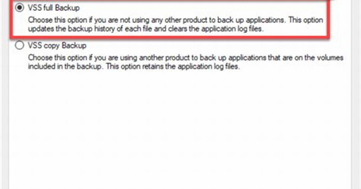 Does Windows Server Backup Use Vss?