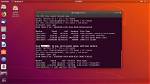 Does Wow Work on Ubuntu?