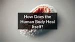 Does Your Body Cannibalize Itself?